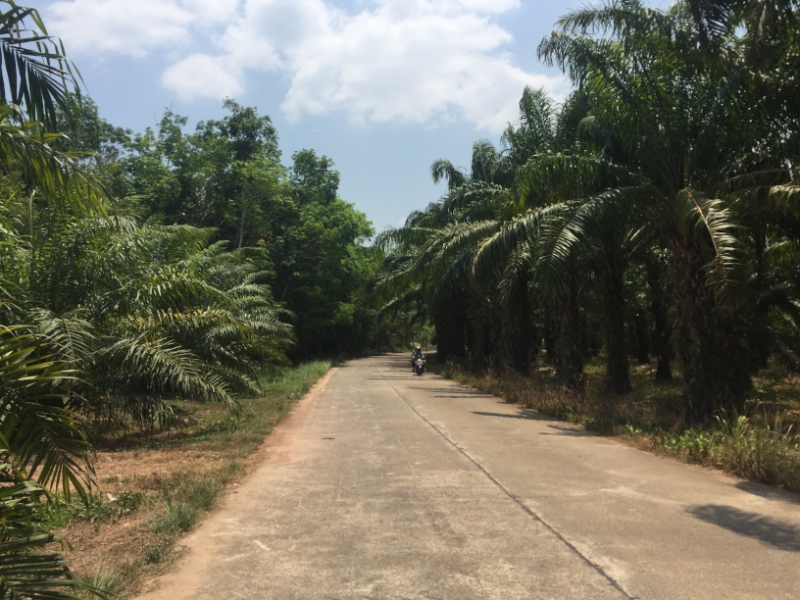 6923 16-3-19road