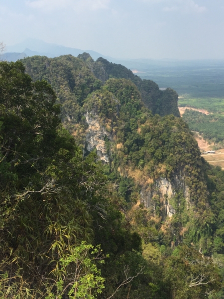 6930 16-3-19 view