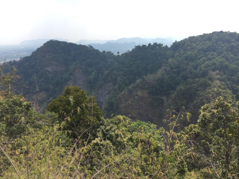 6933 16-3-19 view