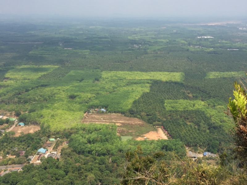 6935 16-3-19 view