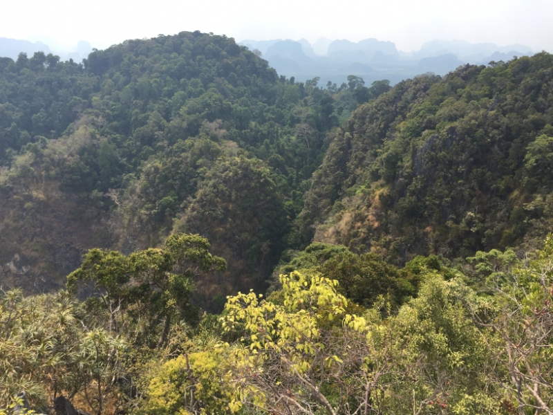 6938 16-3-19 view