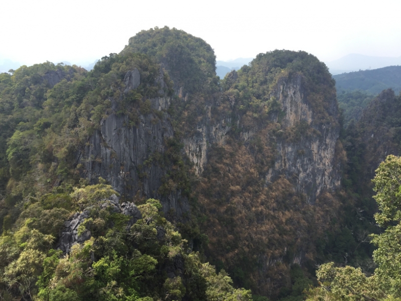 6946 16-3-19 view
