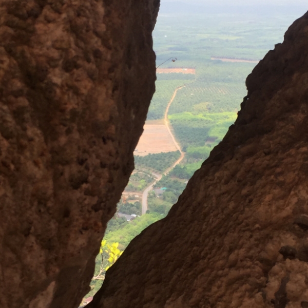 6949 16-3-19 view