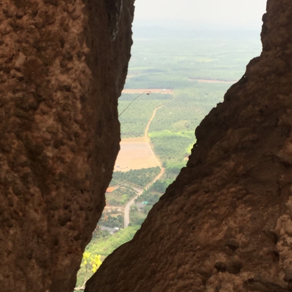 6950 16-3-19 view