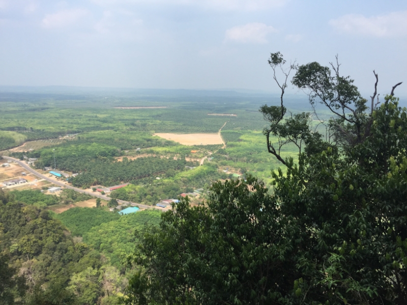 6951 16-3-19 view