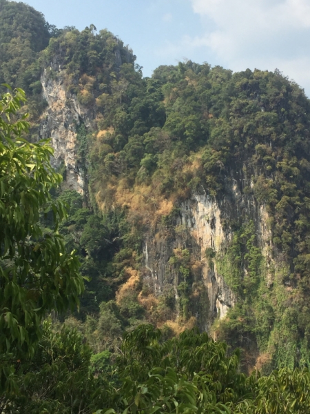 6952 16-3-19 view