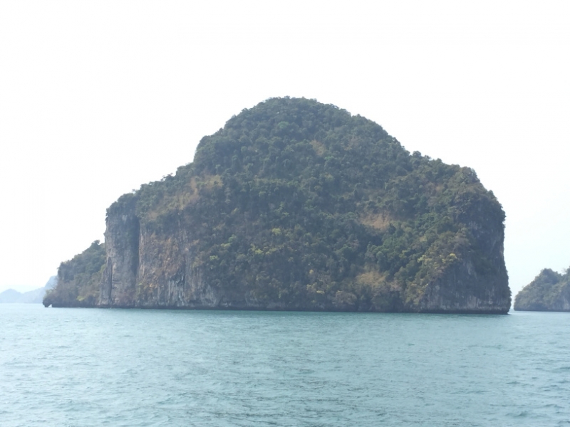 7016 19-3-19 view