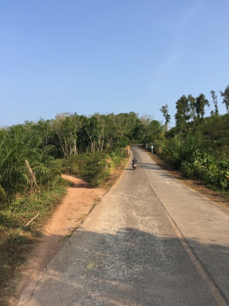 7021 19-3-19 view
