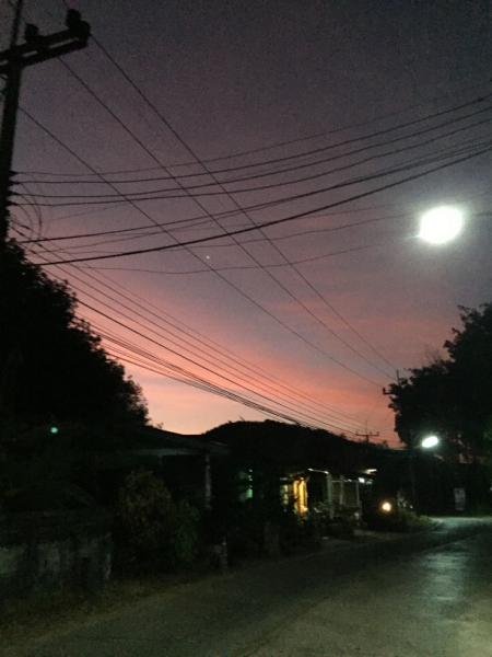 7033 20-3-19 sunrise