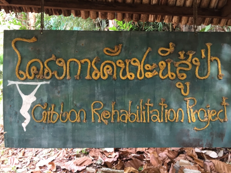 7039 20-3-19 gibbon rehab