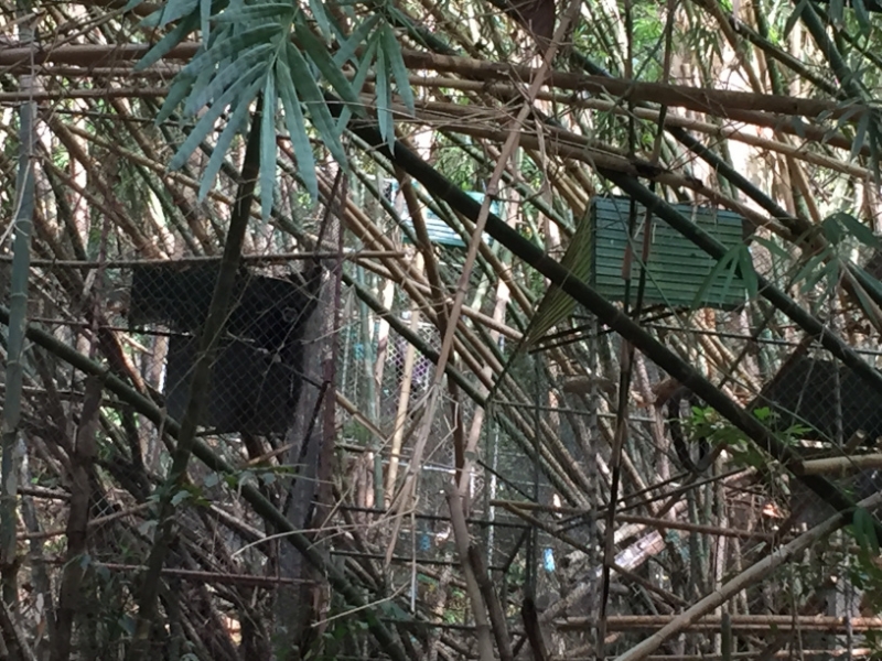 7041 20-3-19 gibbon rehab