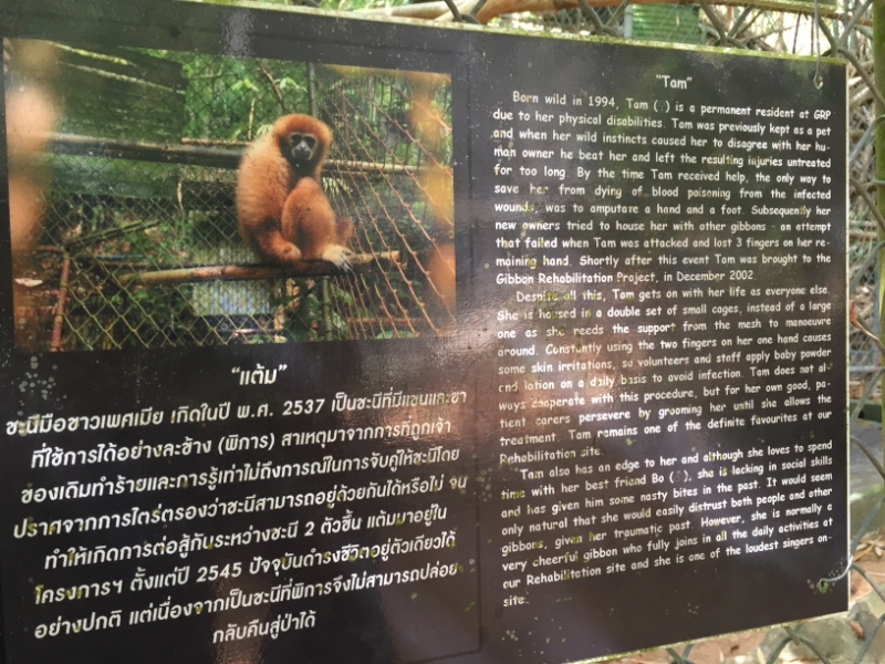 7048 20-3-19 gibbon rehab