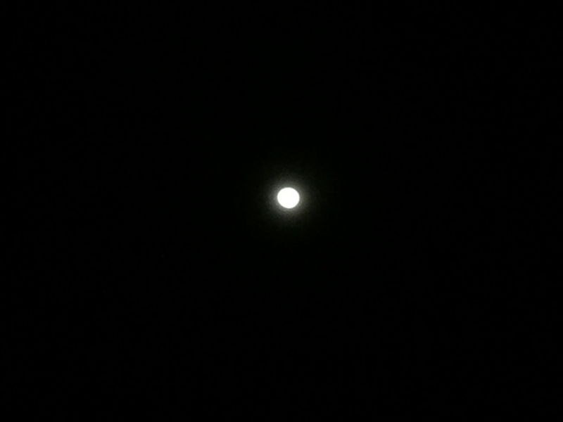 7138 22-3-19 moon