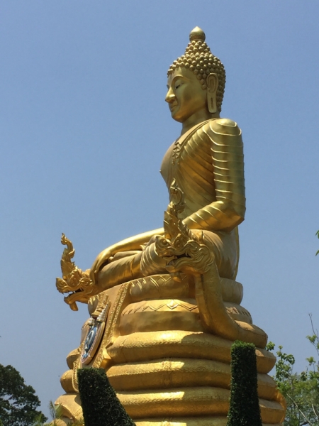 7156 23-3-19 Buddha