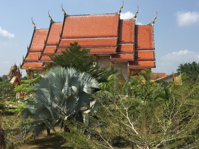 7210 24-3-19 roof