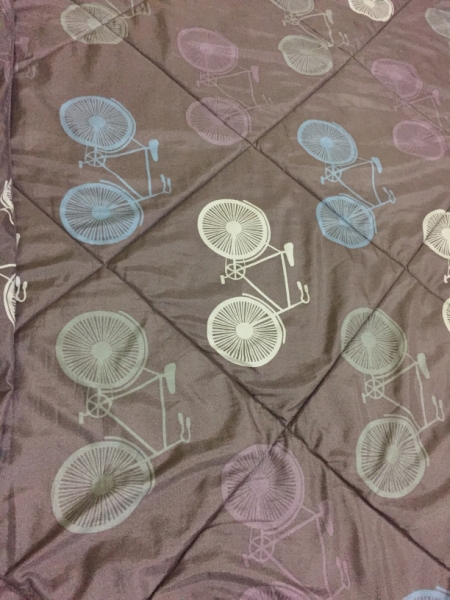 7245 24-3-19 quilt
