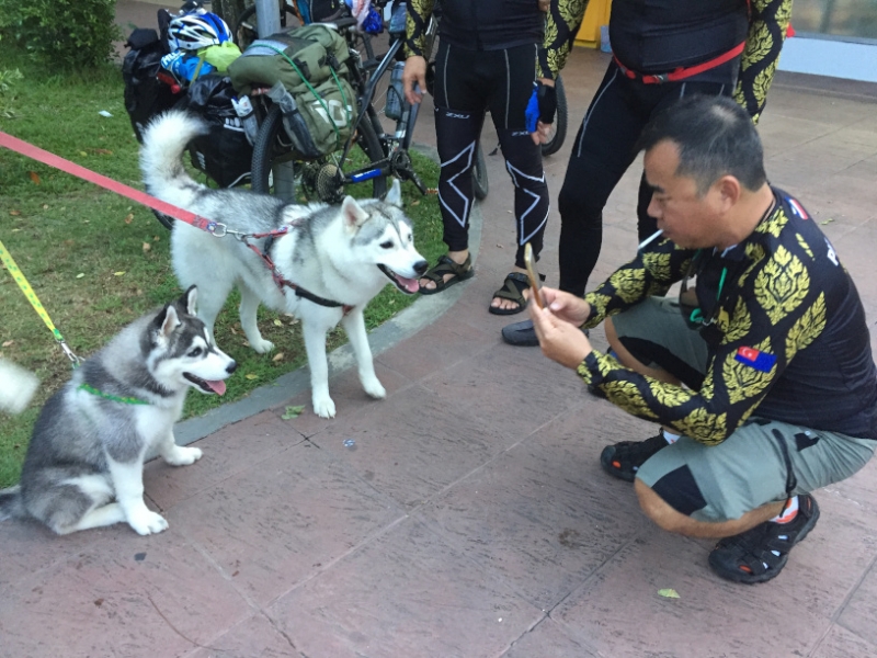 7251 25-3-19 husky