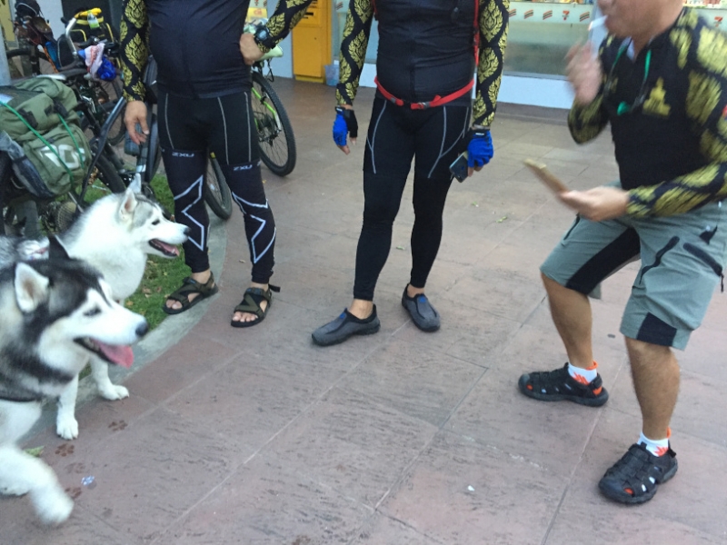 7252 25-3-19 husky
