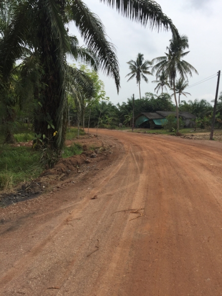7272 25-3-19  road