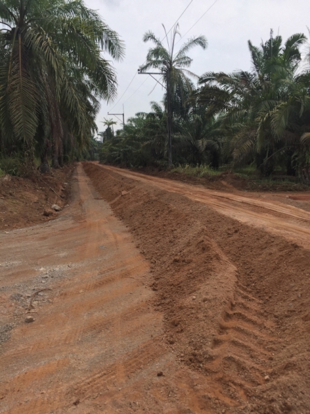 7273 25-3-19  road