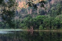 6752 8-3-19 view