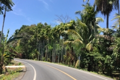 6760 8-3-19 Road