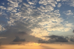 6816 11-3-19 sunrise