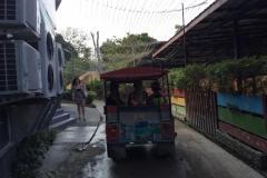 6831 13-3-19 catching the tuktuk