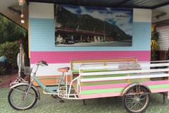 6847 13-3-19 tricycle
