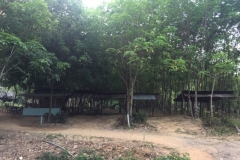 6851 14-3-19 shelter