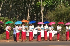 6858 14-3-19 parade