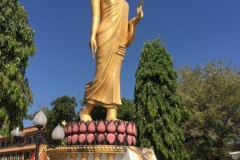 6864 14-3-19 buddha