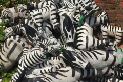 6871 14-3-19 zebras