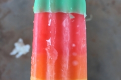 6887 15-3-19 ice lolly