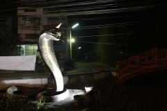 6908 15-3-19 Snake statue