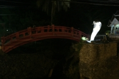 6909 15-3-19 Cobra bridge