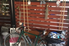 6917 16-3-19 bike