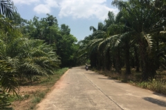 6923 16-3-19road