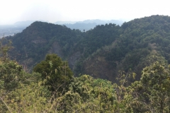 6933 16-3-19 view
