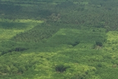 6934 16-3-19 view