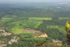 6935 16-3-19 view