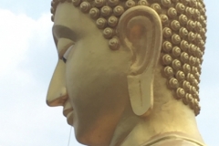 6945 16-3-19 statue