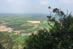 6951 16-3-19 view