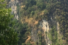 6952 16-3-19 view