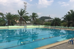 6959 16-3-19 pool