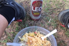 6961 16-3-19 meal