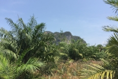 7008 19-3-19 view
