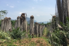 7009 19-3-19 view