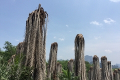 7010 19-3-19 view