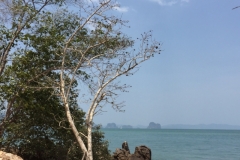 7012 19-3-19 view